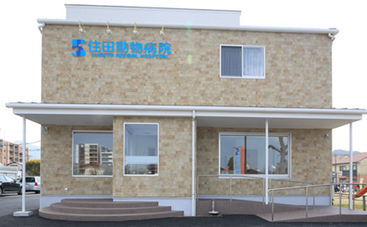 住田動物病院